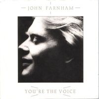 Farnham John: You're The Voice 7"