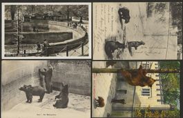 4x BERN Bärengraben uralte Karten Bären Bär 1903 1911 1926
