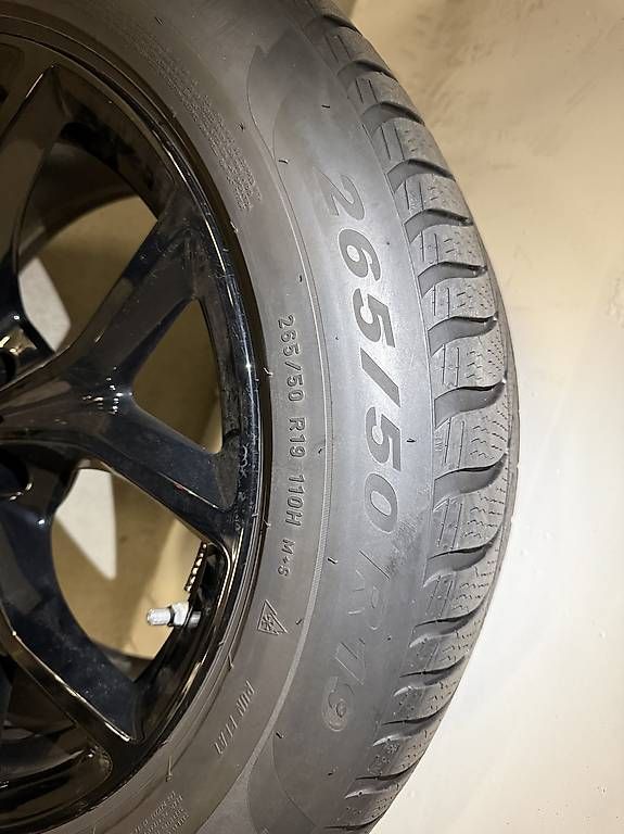 BMW Pneumatici & Ruote complete: BMW X5 Winterreifensatz – Usato da Neuheim venduto da ane_vp2c 1
