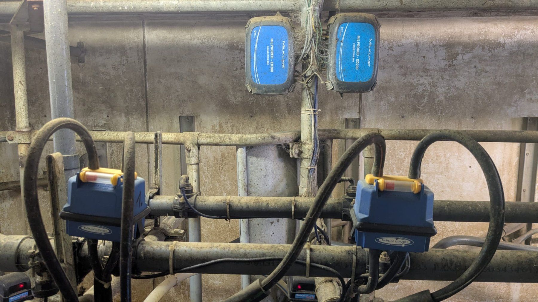 Tutte le macchine: Melkstand MILKLINE Ersatzteile – Usato da Büren zum Hof venduto da HKart 5