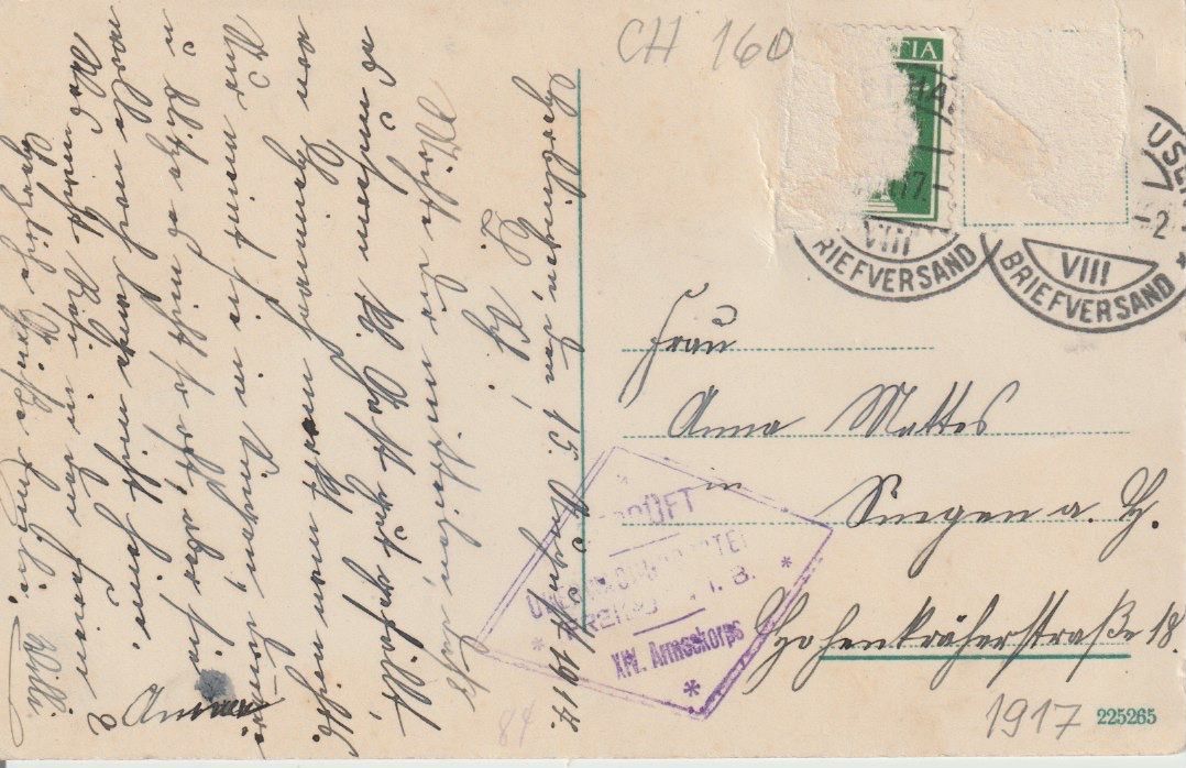 Cartoline postali: CH 160 Rheinfall, 1917 – Usato da Freienbach venduto da Bhaltis 1