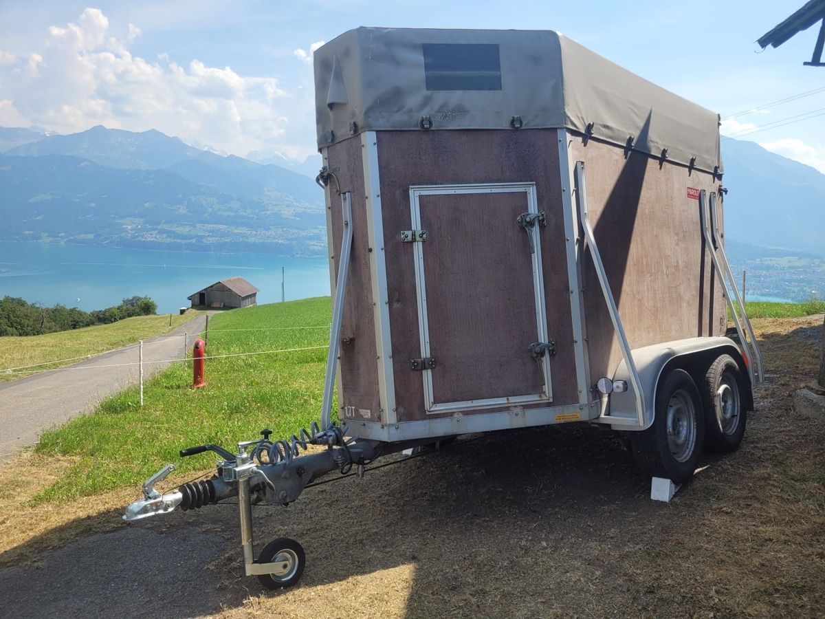 Marolf Rimorchi: Viehanhänger Marolf  – Usato da Sigriswil venduto da ck56 3