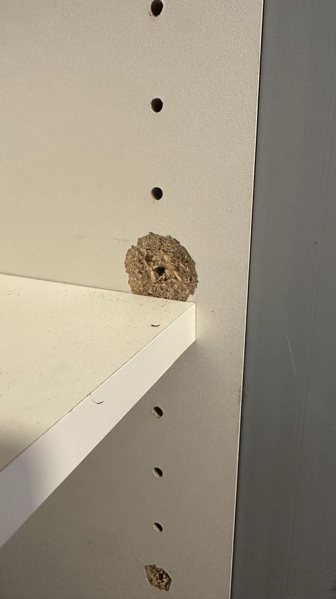 Armadi: kleiderschrank – Usato da Wittenbach venduto da sevidubach 6