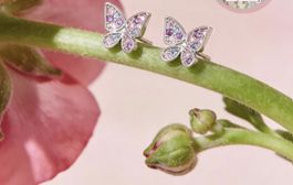 Schmetterling Ohrringe Silber 925