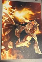 Natsu Bild, Höhe: 70cm, Breite; 100 chm