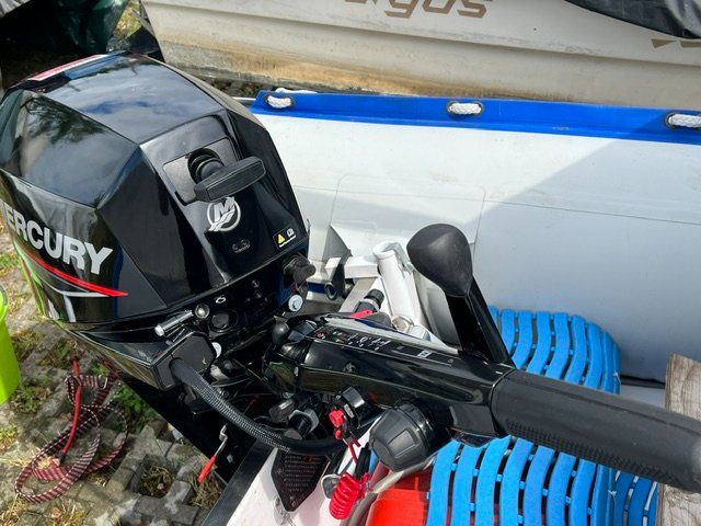 Mercury Motori: Mercury Motor 20 PS mit Boot – Usato da Wangen ZH venduto da Aisha69 4
