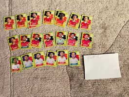 Panini Stickers WM 2026- Gruppe G 22 Stickers