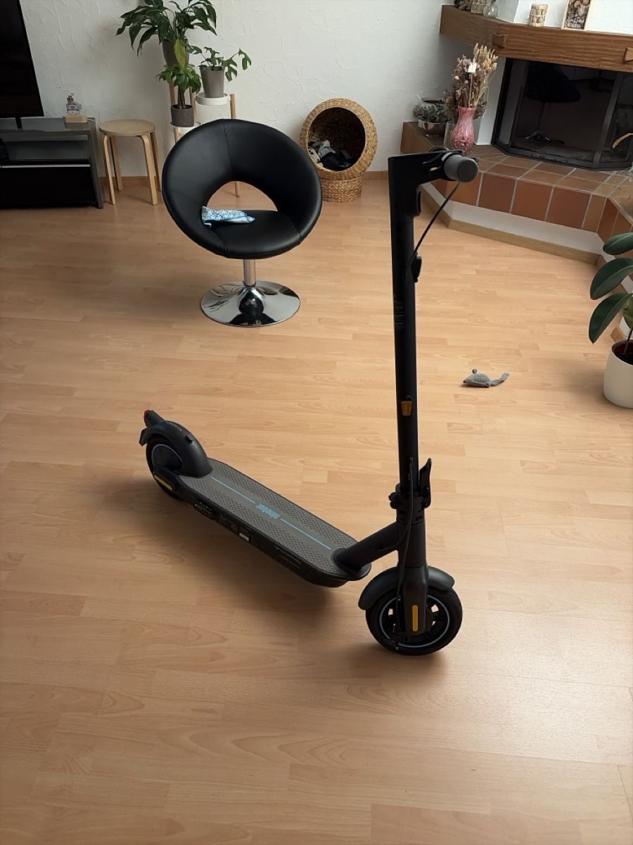 Segway Kickboard: Segway-Ninebot KickScooter – Usato da Feuerthalen venduto da knownasfabio 2