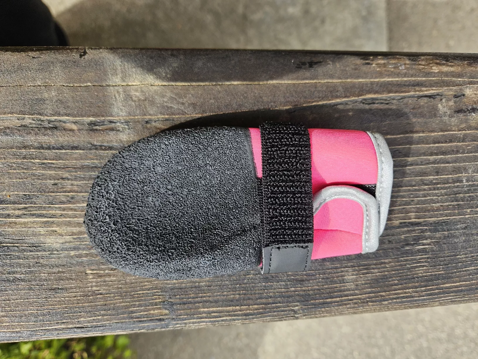 Bekleidung: Hundeschuhe – Neu (gemäss Beschreibung) aus Schlossrued von mel_696j 1