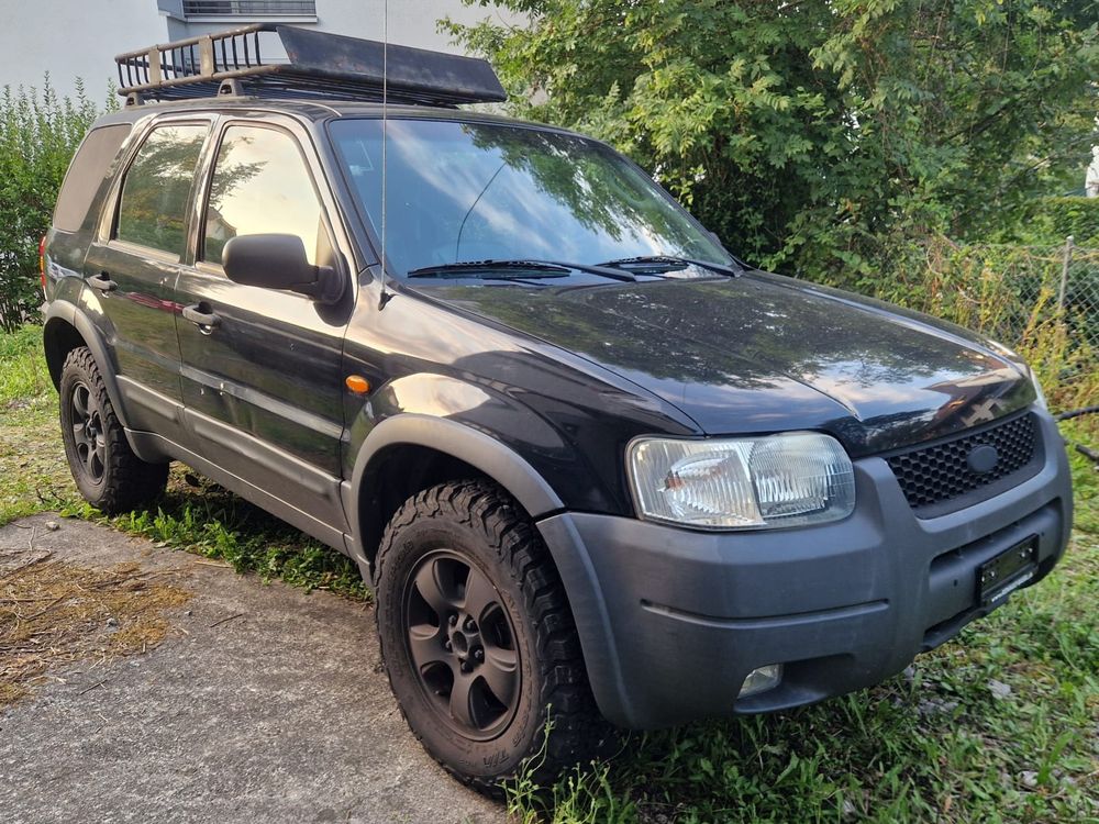 Sitemapcdatahttpabckniqoocomford Maverick Gebraucht