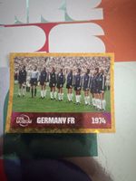 Panini FWC 13