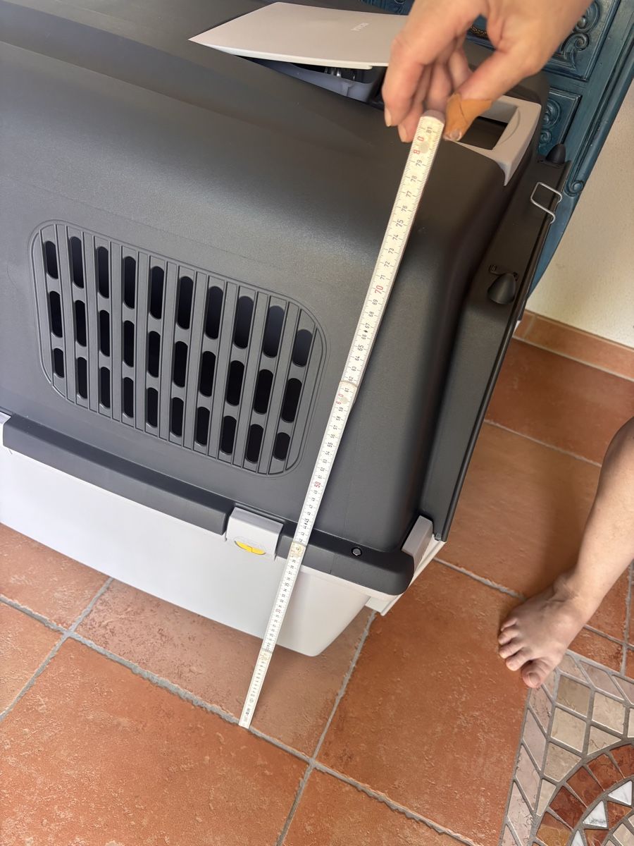 Sonstige Dekorationen & Accessoires: Hundebox – Neu (gemäss Beschreibung) aus Therwil von Olfane 1