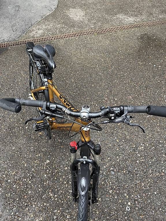 Biciclette: Goldenes MTB – Usato da Zürich venduto da raf_5wj5 3