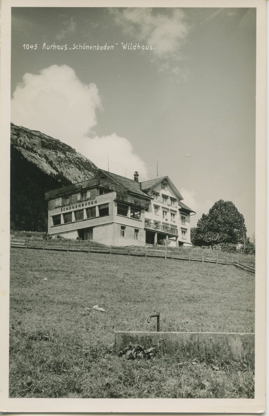 Cartoline postali: Postkarte ungelaufen Wildhaus – Usato da Liesberg venduto da Mikado1965