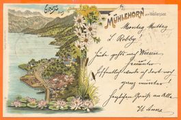 Gruss aus MÜHLEHORN am Walensee /SG - Litho 1898 - C. Künzli