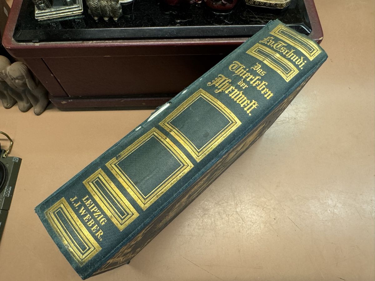 Libri: Buch Das Tierleben der Alpenwelt  1858 – Usato da Chur venduto da Meriva0 1