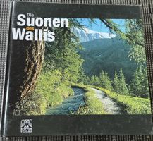 Die Suonen des Wallis - Rotten-Verlag 2000