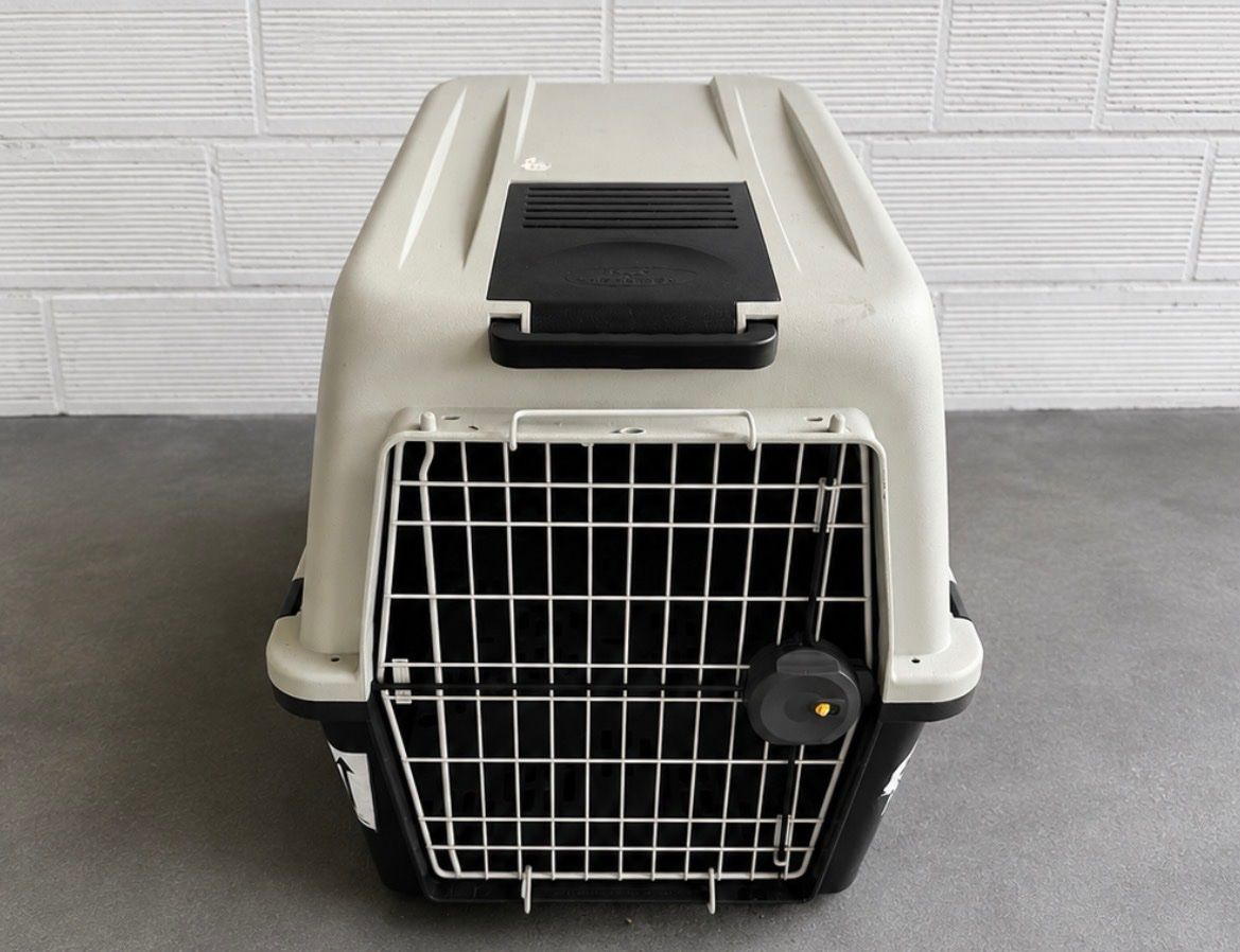 Cages, transport & sécurité: Transportbox – D'occasion à St. Gallen par vms_xd2q