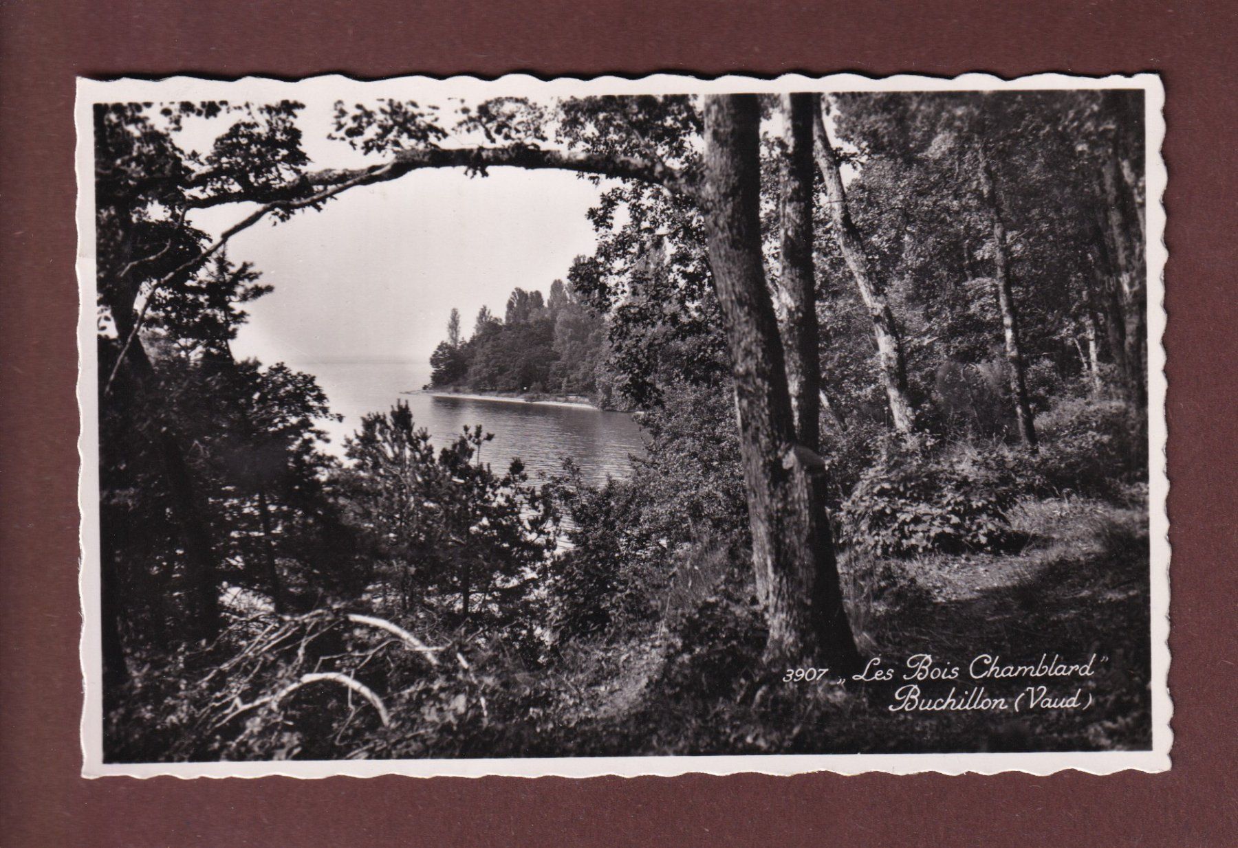 Cartoline postali: BUCHILLON - Les Bois Chamblard - 1944 – Usato da Pully venduto da nicecards-shop