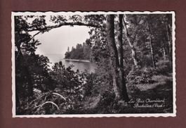 BUCHILLON - Les Bois Chamblard - 1944