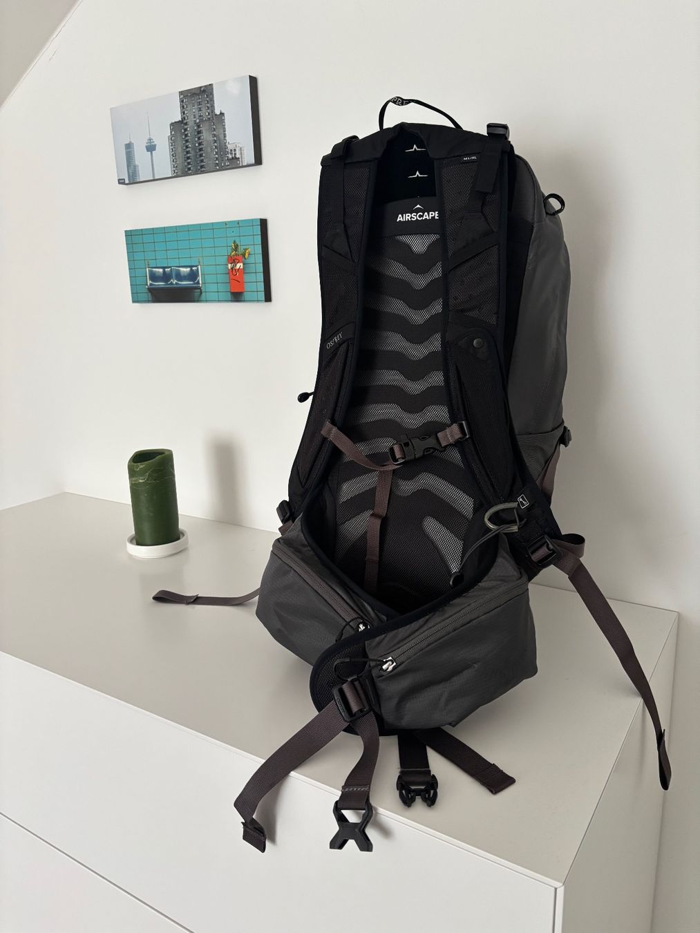 Osprey Sacs à dos: Osprey Talon 22 Rucksack – Neuf (Voir description) à Zollikon par halbkarat 3