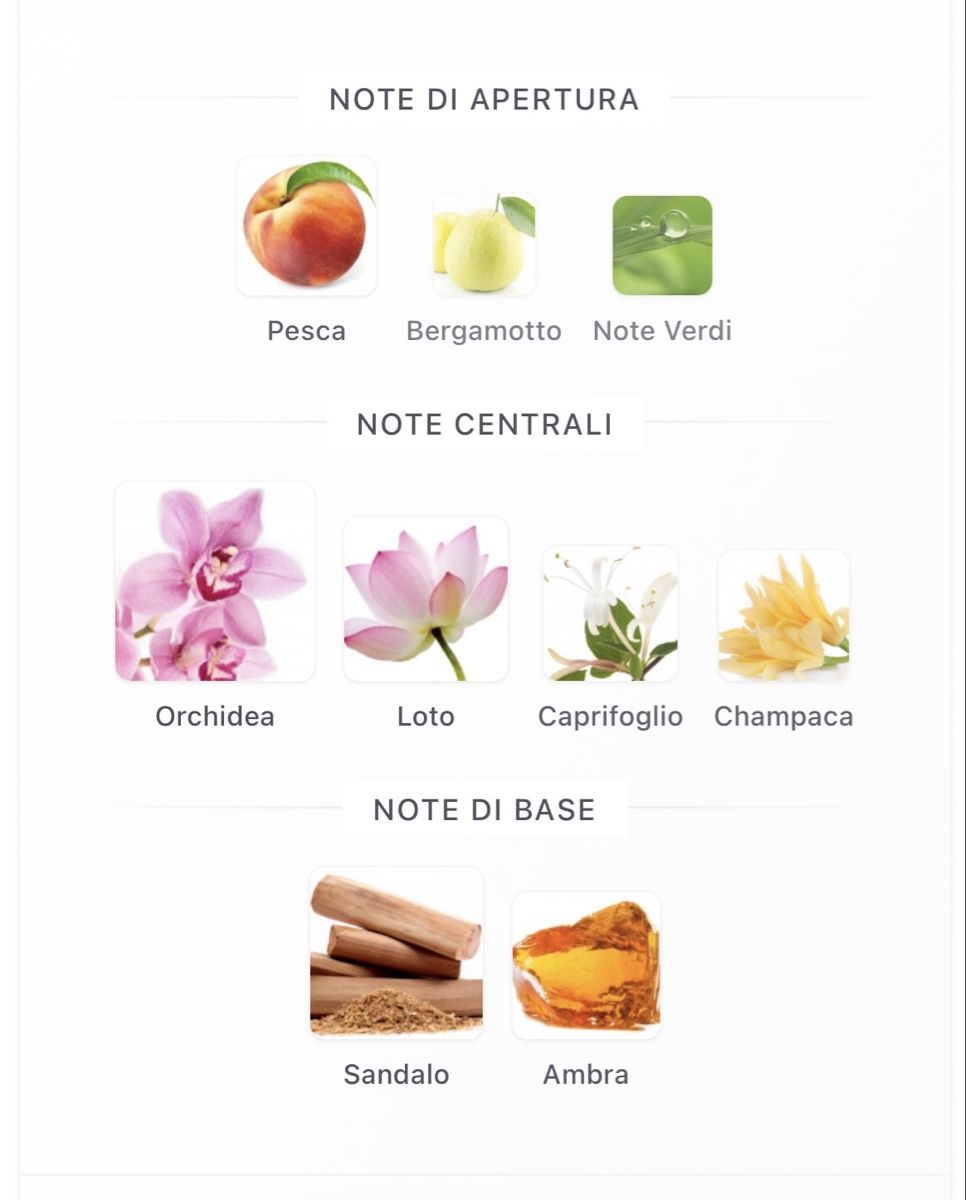 Calvin Klein Parfums & Eau de Toilette: Euphoria - Edp - 30 ml – D'occasion à Piazzogna par Super-V 5