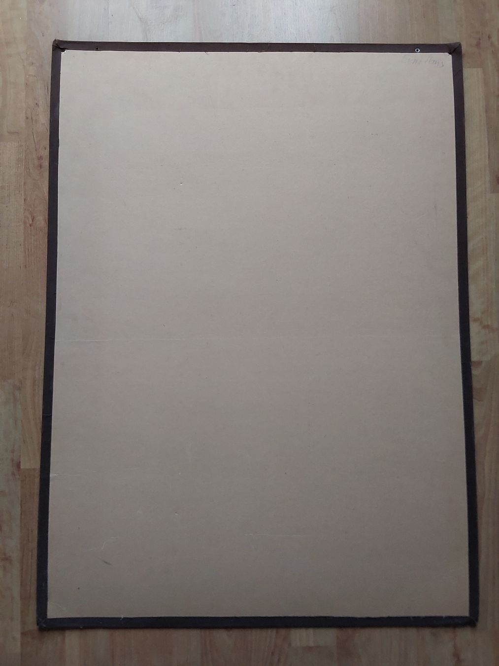 Foto & Immagini: Erni Hans. Schulwandbild 65x90cm. – Usato da Steinach venduto da Chilli1957 6