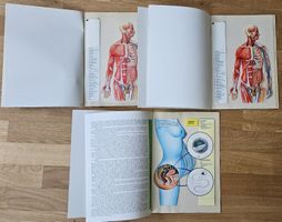 3 Transvision Vintage Anatomy Books German/French rare