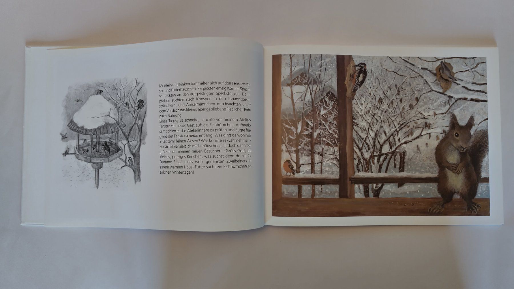 Livres: Peter Bergmann - Eichhörnchen auf Besuch / Bilderbuch – D'occasion à Bellach par JingleJerry 4