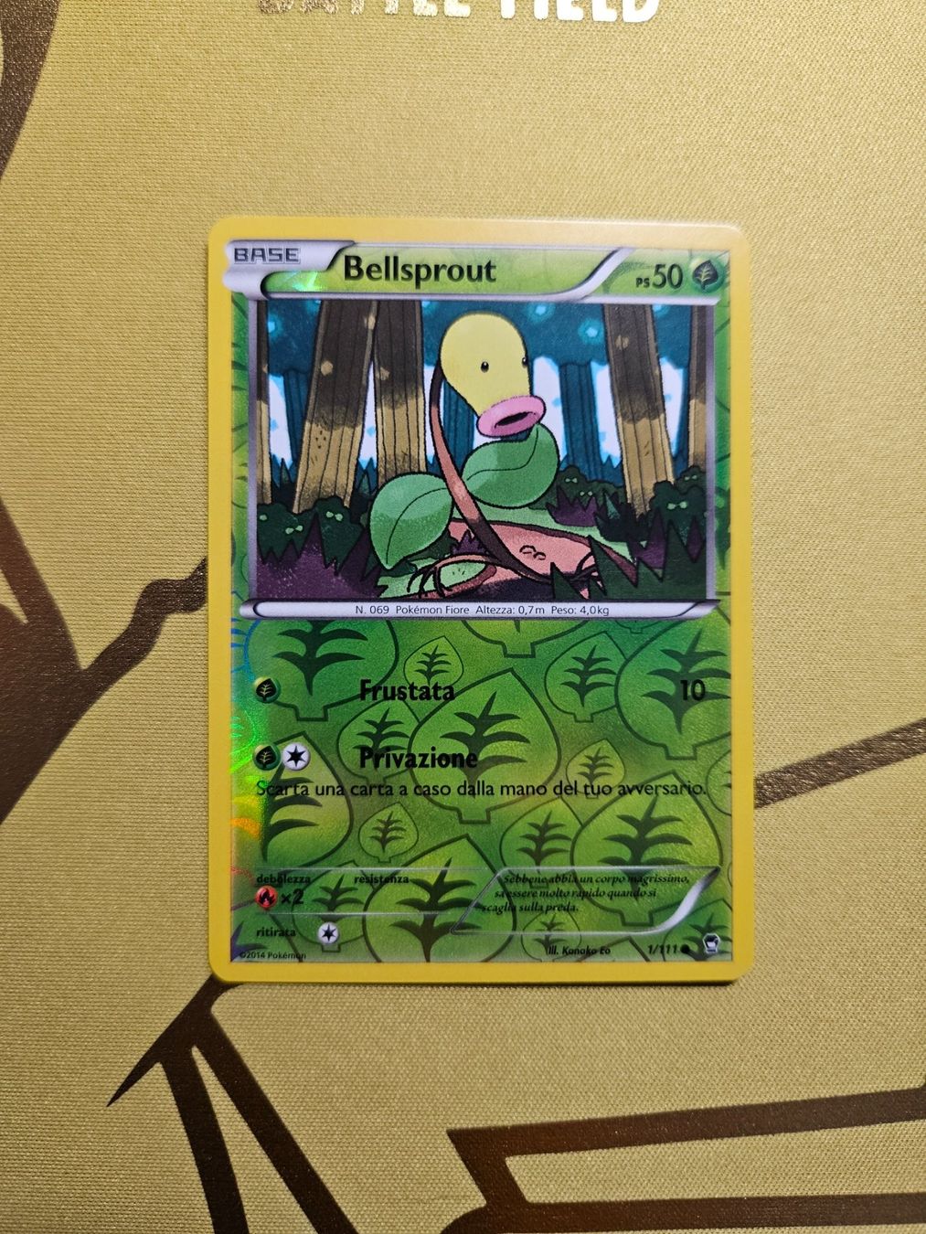 Pokémon Carte collezionabili: Furious Fist - Bellsprout – Usato da Bellinzona venduto da Pokemarco