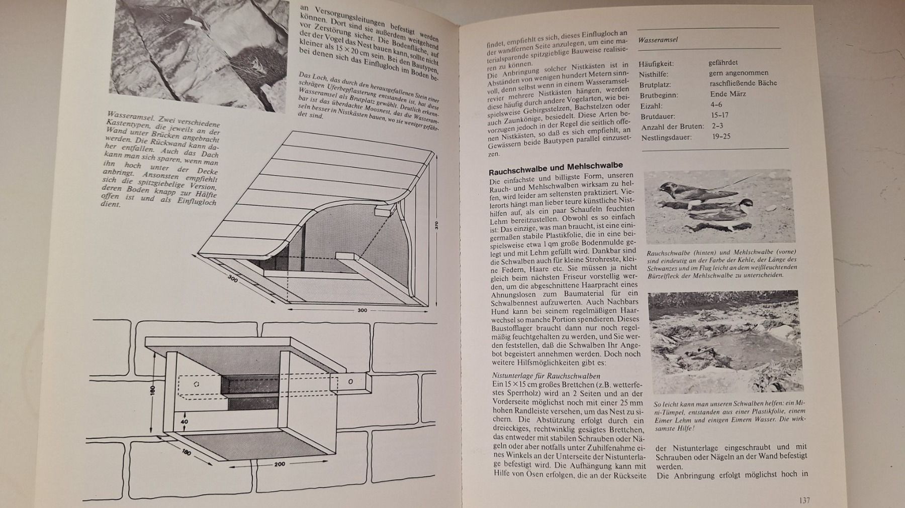 Libri: Vogelschutz Praxis /Norbert Jorek – Usato da Zürich venduto da t24_de 5