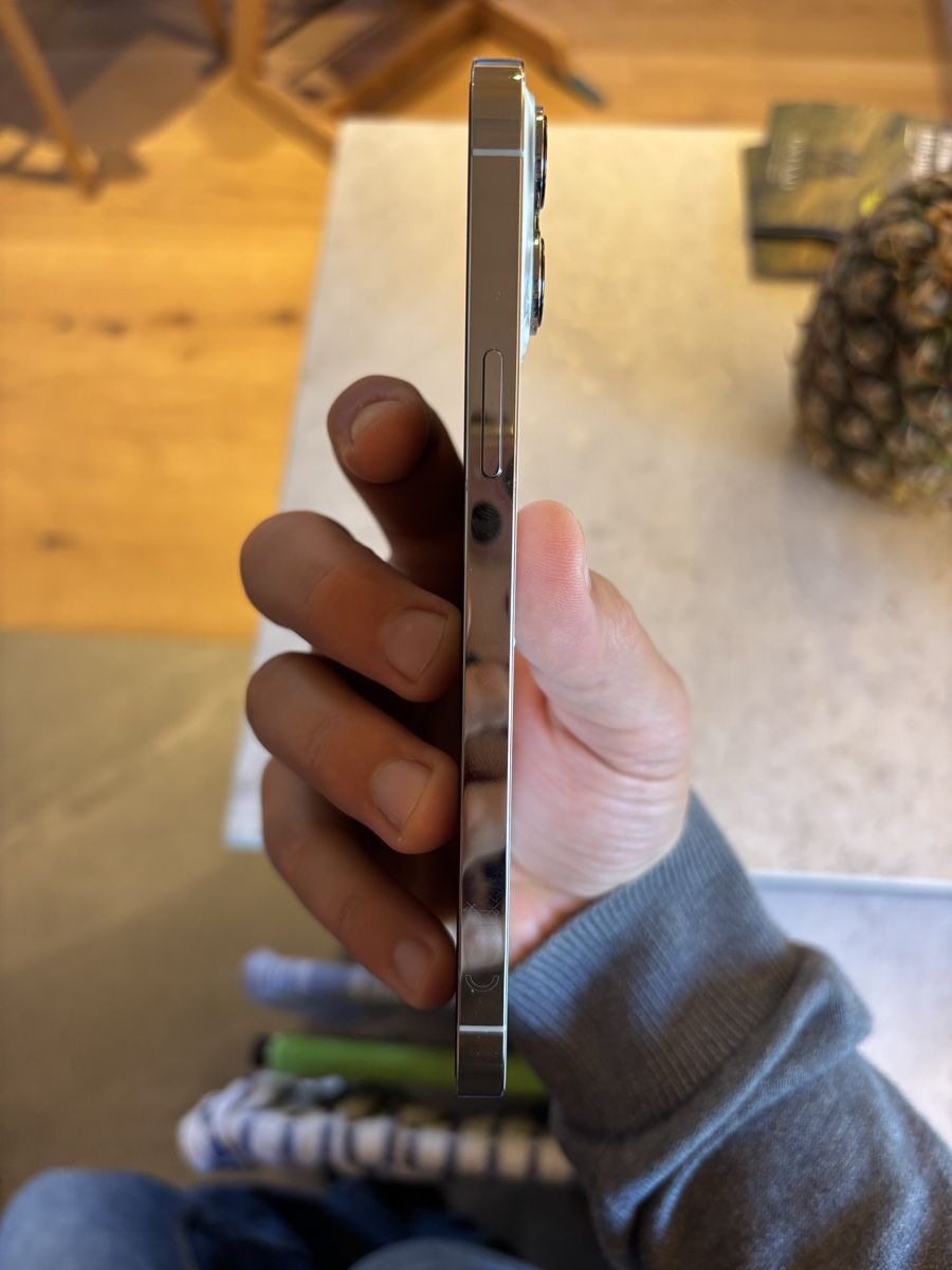 Apple Telefoni cellulari / Smartphones: Apple iPhone 13 Pro Max 256GB weiss / silver – Usato da Saanen venduto da Hanschristian 5