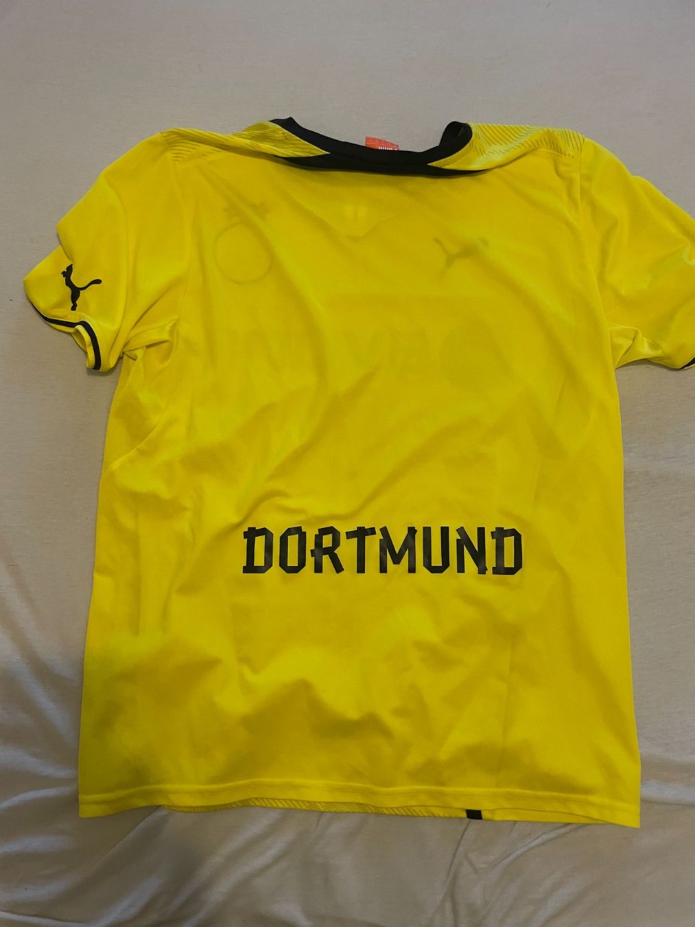 BVB Canottiere & Pantaloni: Borussia Dortmund BVB Trikot 2013/14 Grosse L – Usato da Villeneuve VD venduto da vin_7zm6 2