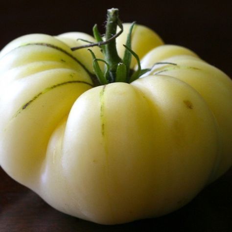 Piante & sementi: 30 Samen WHITE BEAUTY Tomate – Nuovo (secondo la descrizione) da Ehrendingen venduto da VerveinaSamen