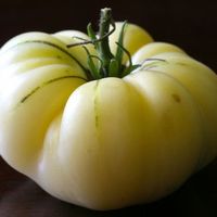 30 Samen WHITE BEAUTY Tomate