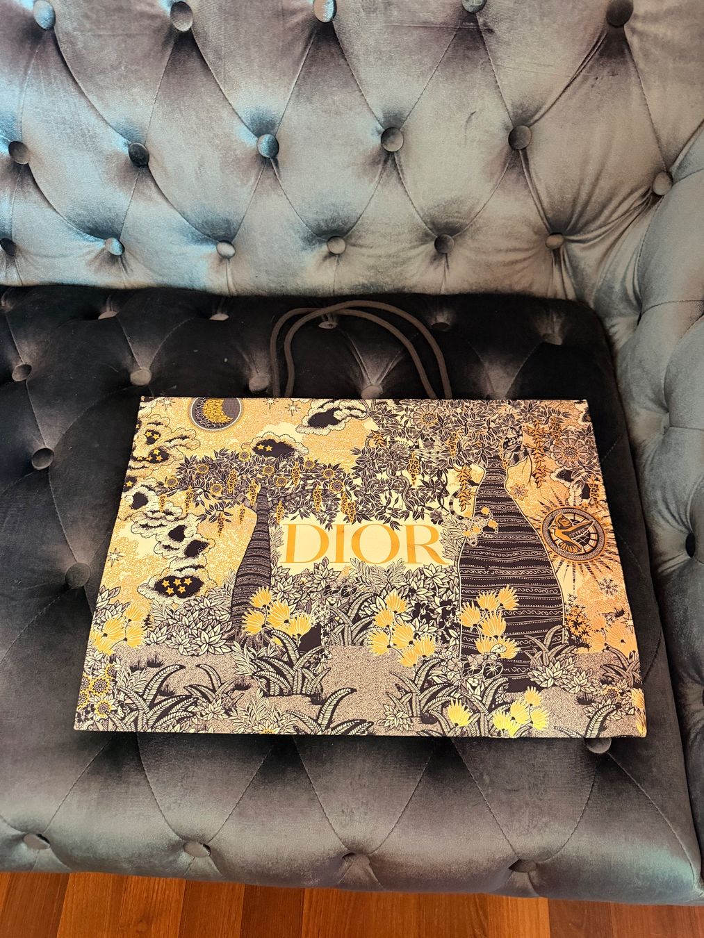 Taschen: Dior Bag – Gebraucht aus Buchs ZH von tiz_9mpn 1
