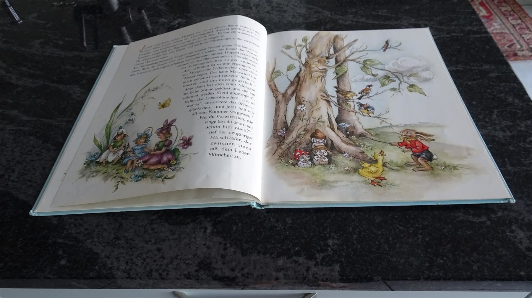 Libri: Hoppel Langohr   von Lore Hummel   1998 – Usato da Zürich venduto da Roulet 7