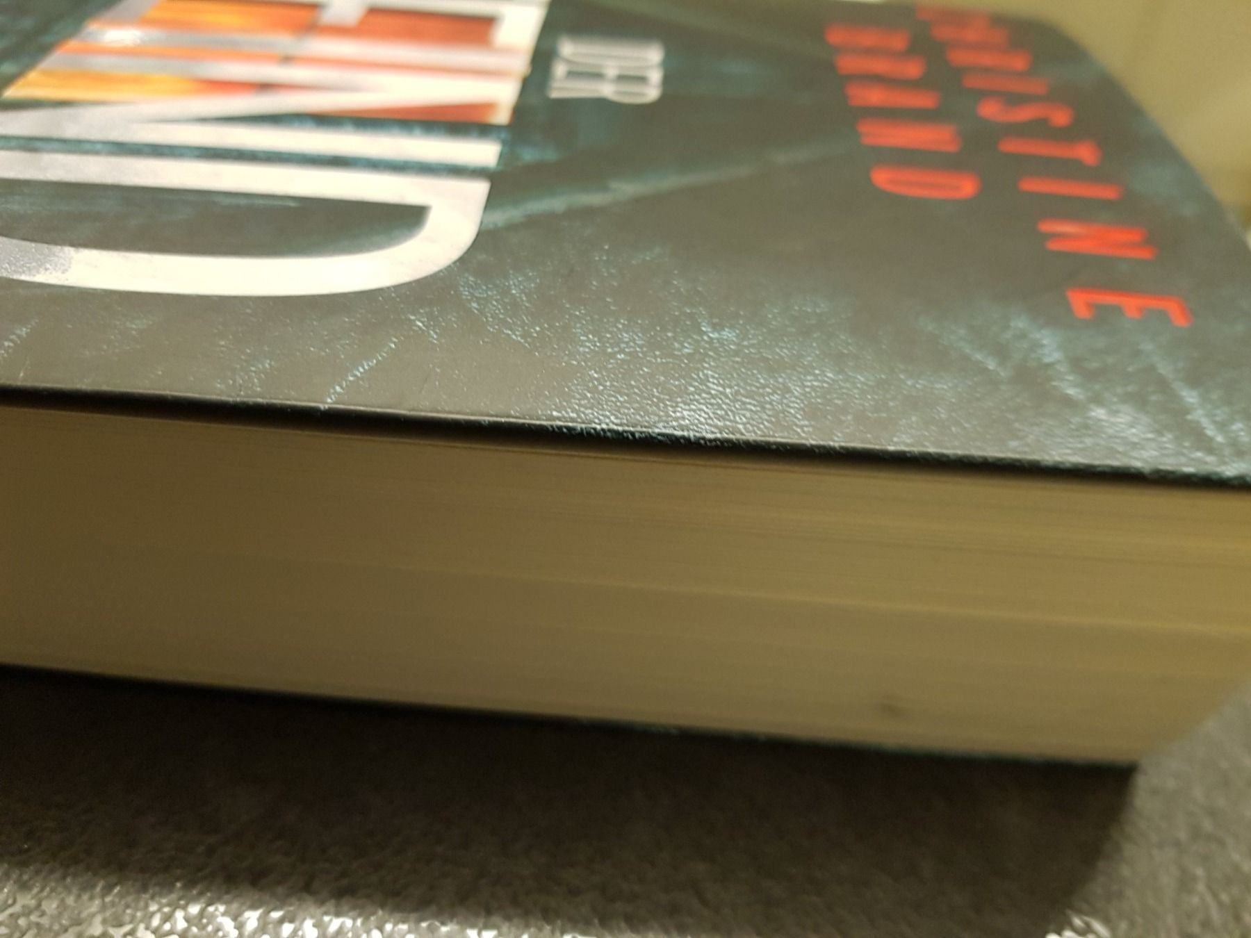 Bücher: DER FEIND / Christine Brand / Schweizer Kriminalroman – Gebraucht aus Dietikon von marconi07 2