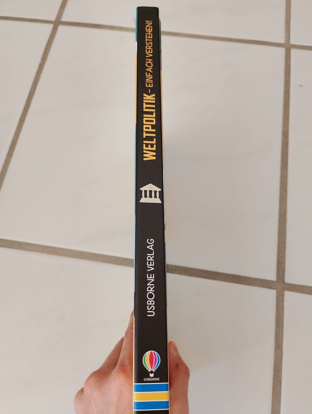 Libri: Weltpolitik einfach verstehen! – Usato da Ehrendingen venduto da 2Guagua2 2