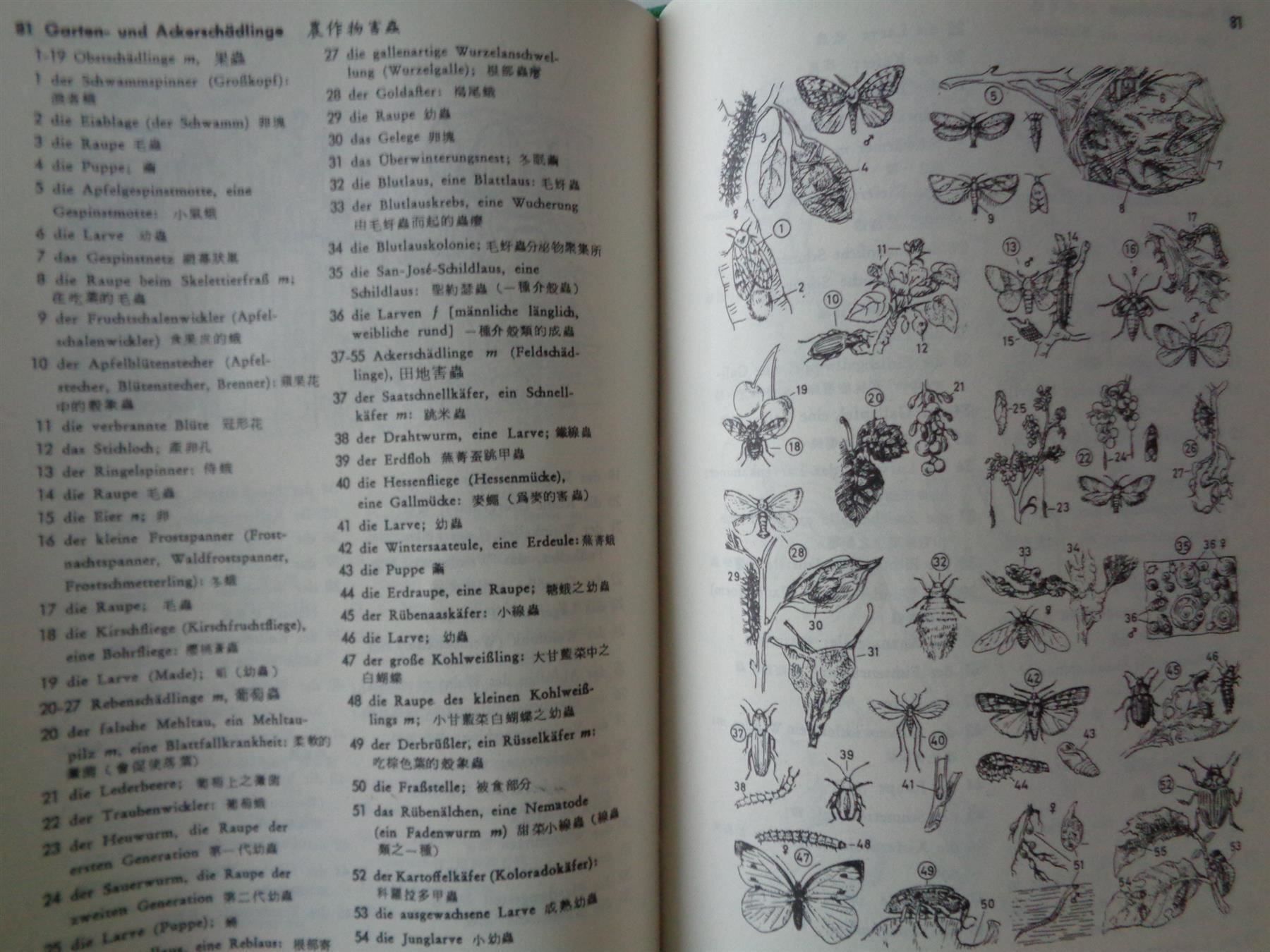 Libri: Deutsch-chinesisches Bilderwörterbuch – Usato da Chur venduto da omonia 4