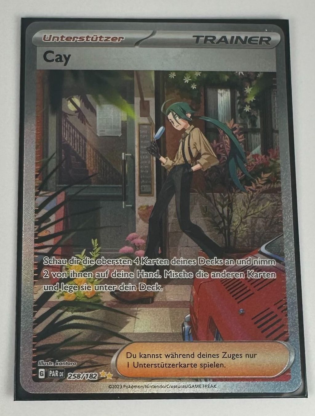 Pokémon Carte collezionabili: Cay 258/182 SIR Deutsch Pokémon Trainer – Nuovo (secondo la descrizione) da Dübendorf venduto da TrimTrend
