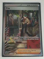Cay 258/182 SIR Deutsch Pokémon Trainer