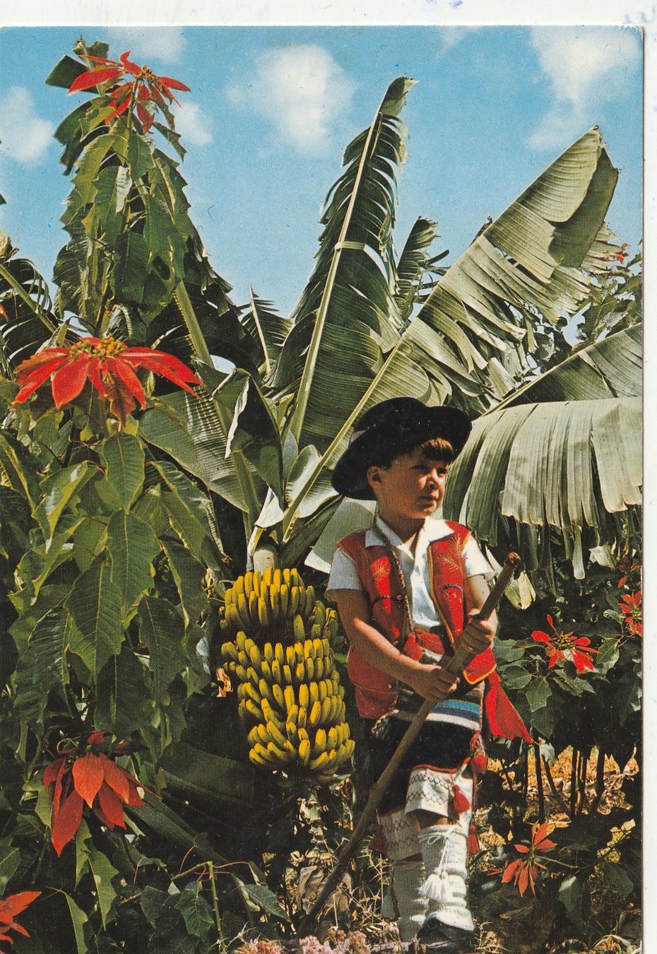Cartoline postali: 10 Diverse Karten Ausland – Usato da Lumbrein venduto da made02 2