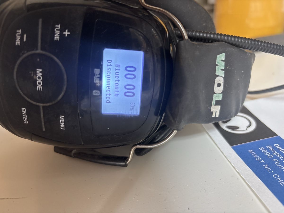 Gesichts- und Gehörschutz: WOLF Gehörschutzradio DAB+ Bluetooth – Gebraucht aus Beckenried von silvanbue 4