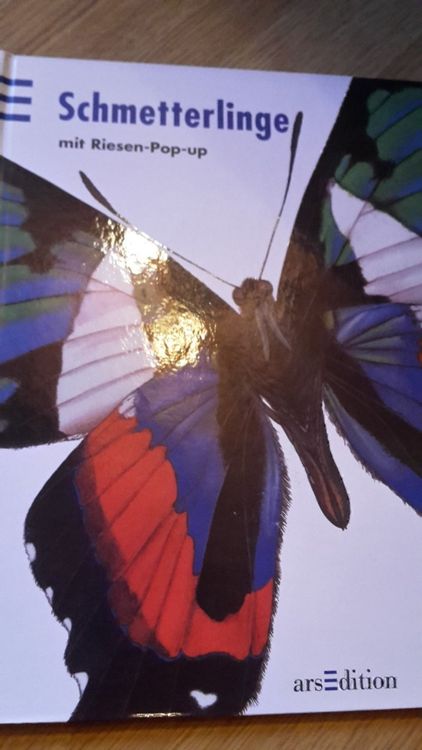 Buch Schmetterlinge mit Riesen Pop up Kaufen auf Ricardo