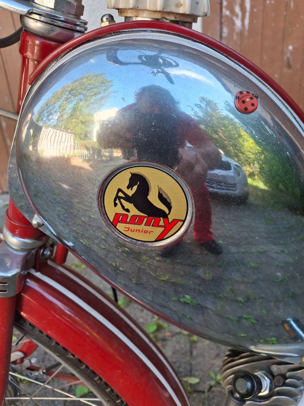 Sachs Ciclomotori: Sachs 50/2 Saxonette Pony Junior – Nuovo (secondo la descrizione) da Oeschgen venduto da Kuppi 2