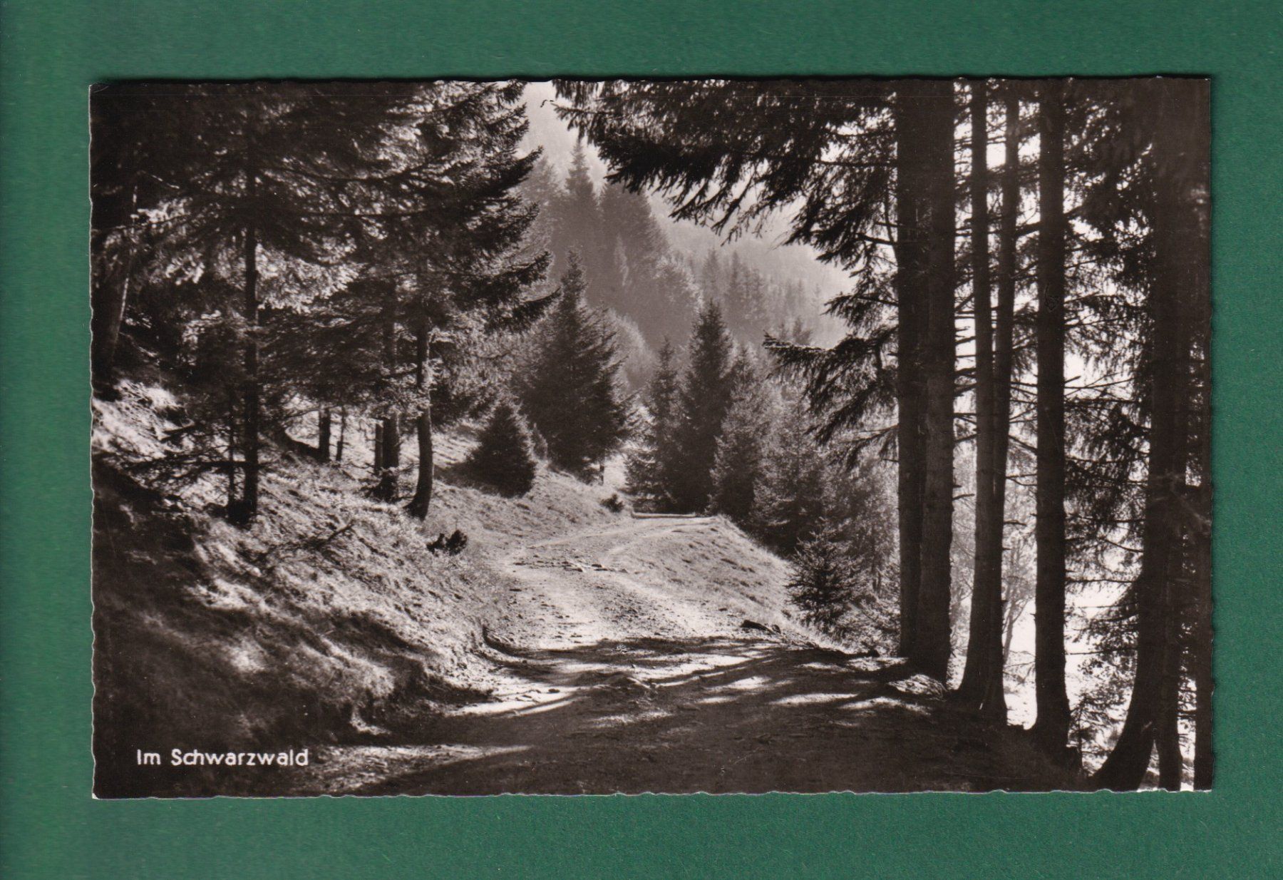 Cartoline postali: Im SCHWARZWALD – Usato da Pully venduto da nicecards-shop