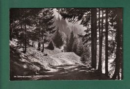 Im SCHWARZWALD