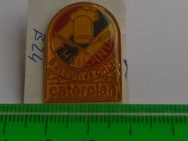 1 Caterplan Pin (B24)