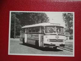 Autobus Stadtwerke Lübeck Daimler Benz AG Typ 0321 HL